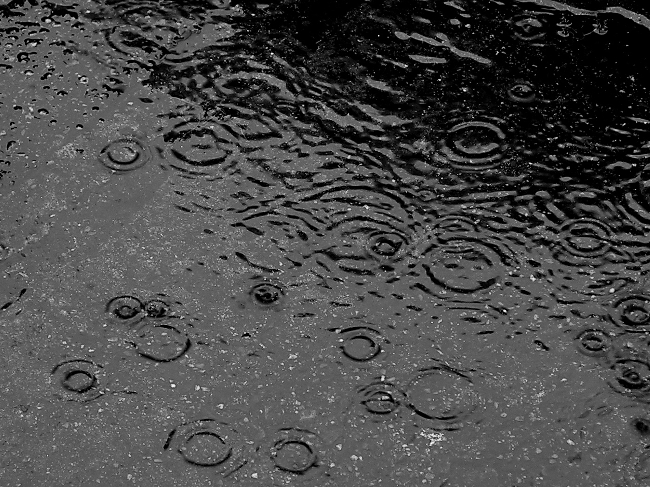 http://muslimsein.files.wordpress.com/2010/01/here_comes_rain_again1.jpg
